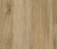 Линолеум Gerflor Taralay Impression Wood 0727 Sycamore Vanilla