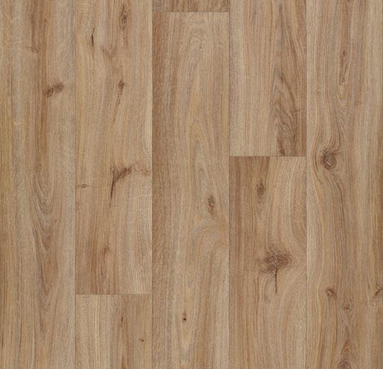 Коммерческий линолеум Eternal Wood 10832 hazelnut oak
