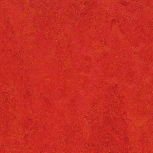 Натуральный линолеум Marmoleum Fresco 3131 Scarlet