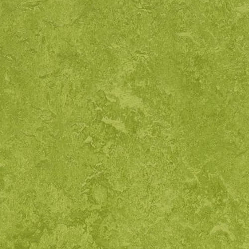 Натуральный линолеум Marmoleum Fresco 3247 Green