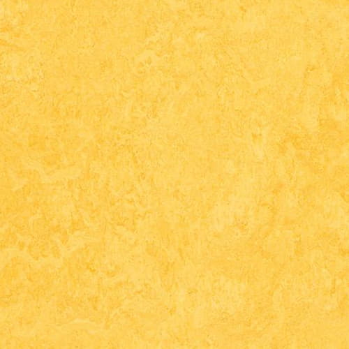 Натуральный линолеум Marmoleum Fresco 3251 Lemon Zest
