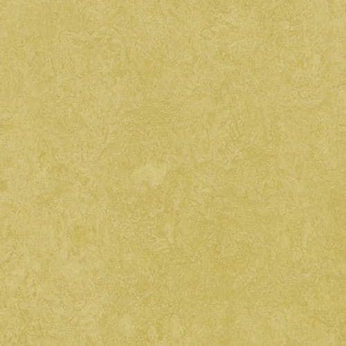 Натуральный линолеум Marmoleum Fresco 3259 Mustard