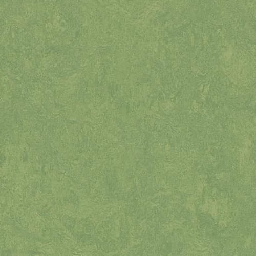 Натуральный линолеум Marmoleum Fresco 3260 Leaf