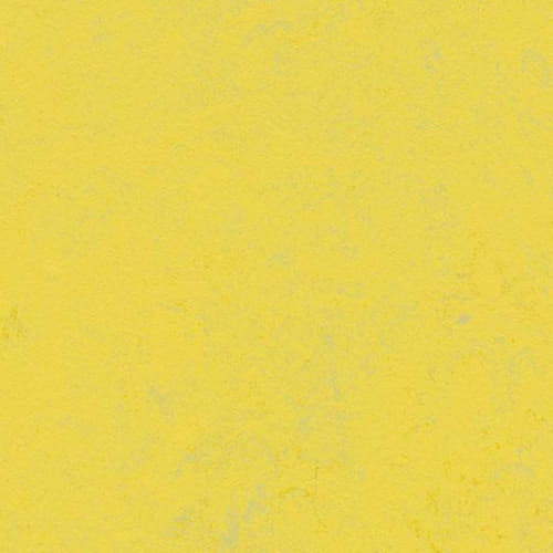 Акустический натуральный линолеум Marmoleum Decibel 374135 Yellow Glow