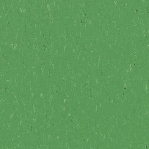 Натуральный линолеум Marmoleum Concrete 3647 Nettle Green