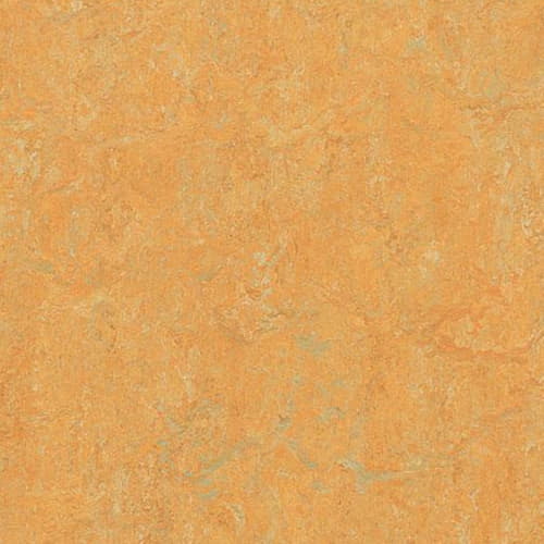 Натуральный линолеум Marmoleum Real 3847 Golden Saffron